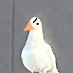 Meet your Posher, Tiff